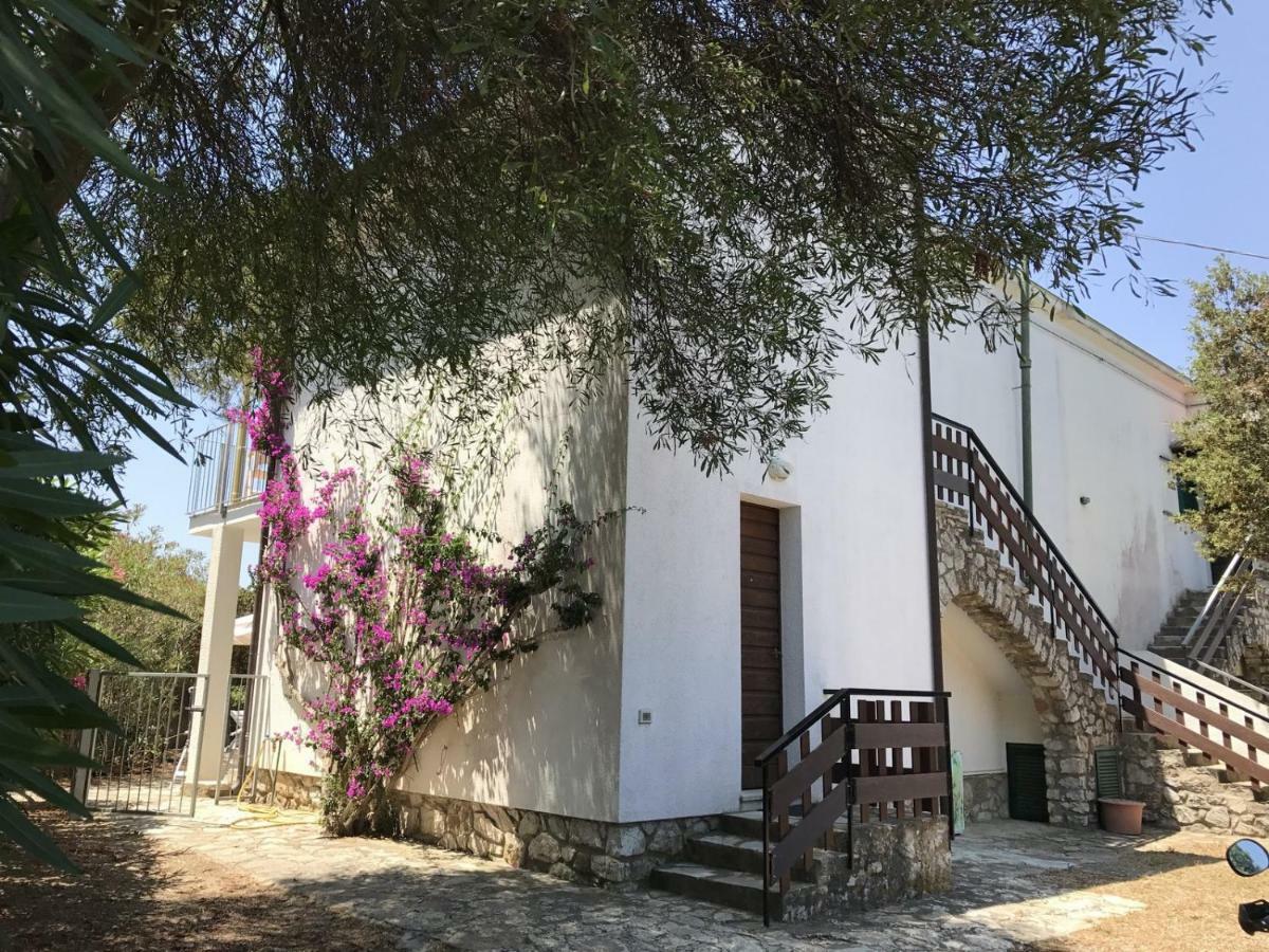 Apt. Calanchiole By Solturelba Capoliveri Kültér fotó